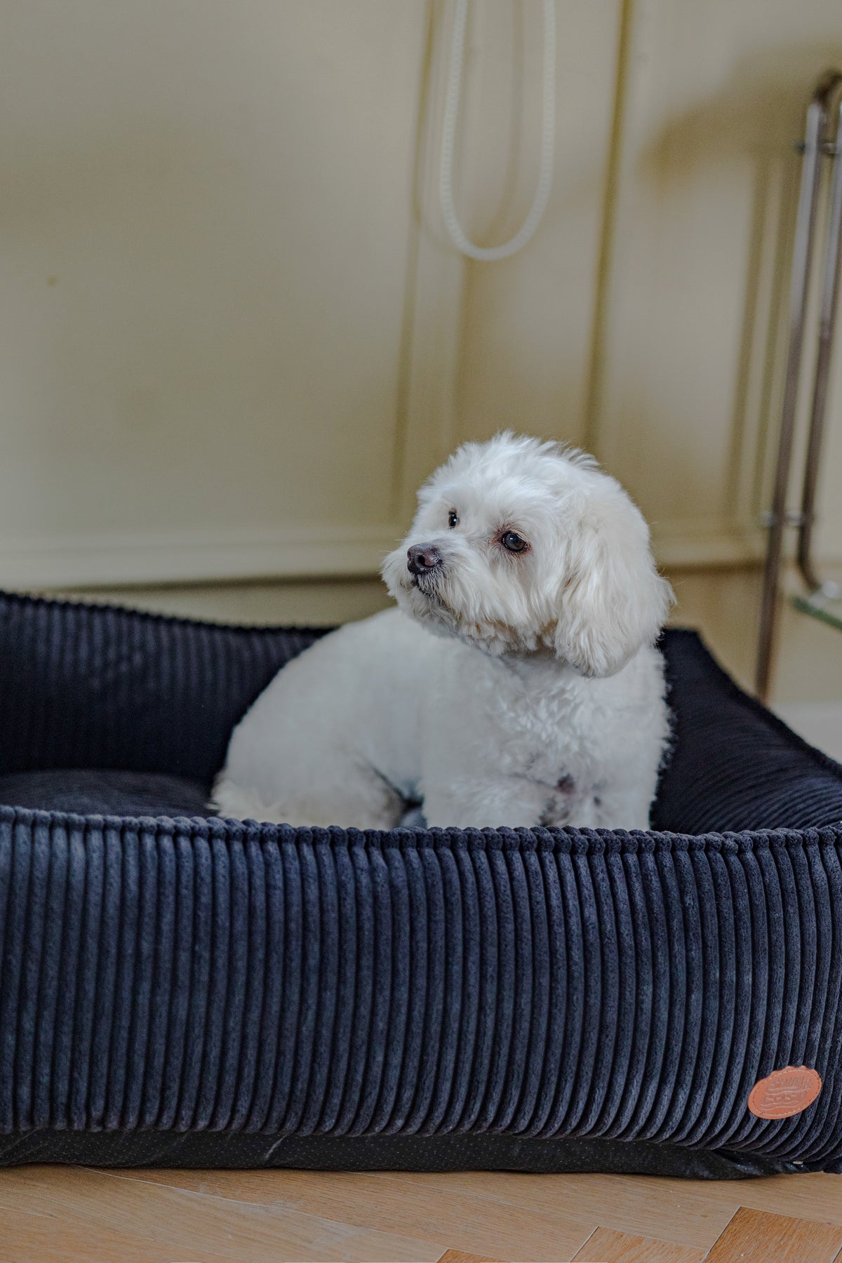 The San Remo Chunky Cord Dog Bed