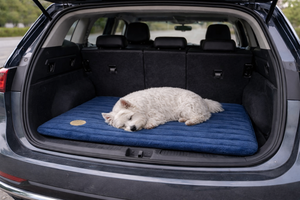 The Best Dog Mats for Travel: Comfort on the Go for Your Dog