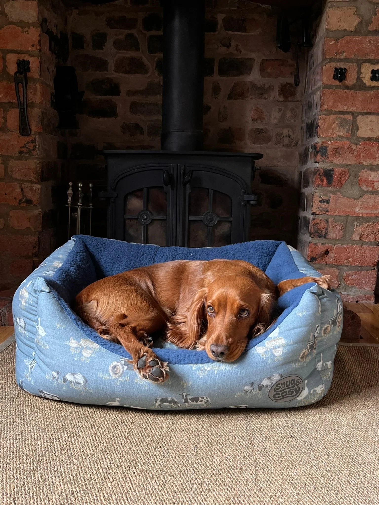 Dog lying on a blue pet dog  bed with floral patterns in front of a fireplace.