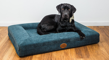 Orthopaedic Dog Lounger Beds