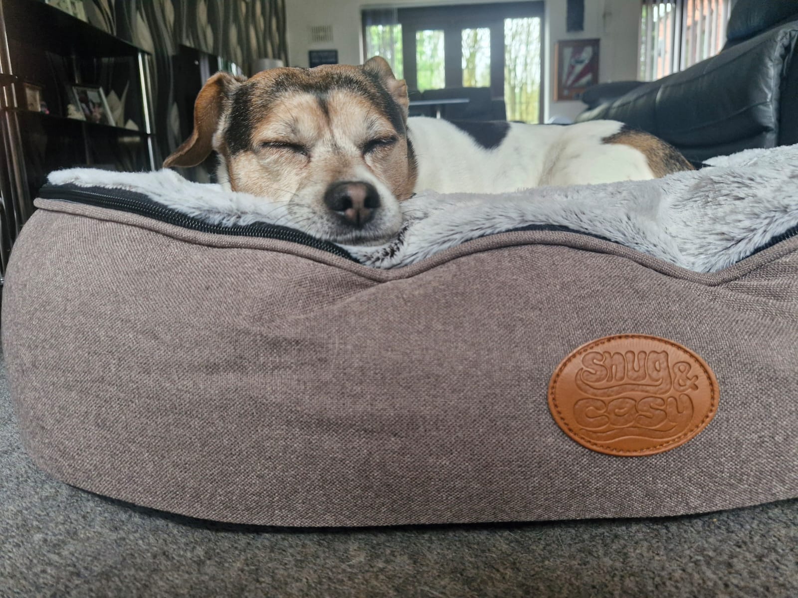 Oval Faux Fur (Cover Only)