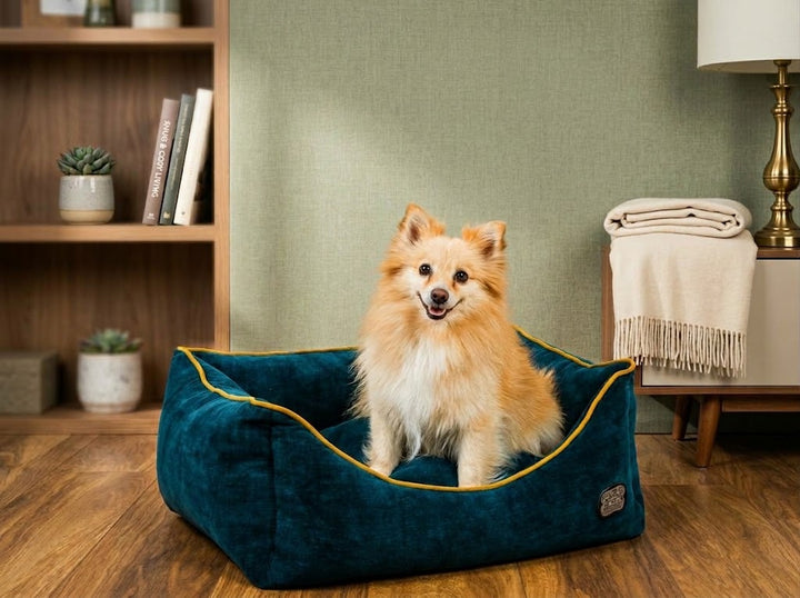 Chelsea Reversible Rectangle Dog Pet Bed – Luxury & Comfort for Your Pup - Dog Bed for dogs Snug and Cosy Pets