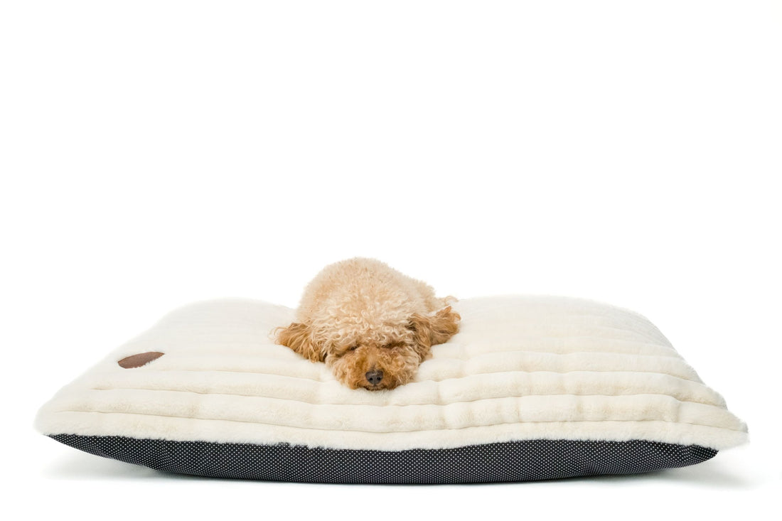 ALASKA FAUX FUR CUSHION