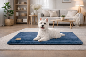 Alaska Memory Foam Faux Fur Dog Pet Mat - Orthopaedic Support & British Design - Dog Mat for dogs Snug and Cosy Pets