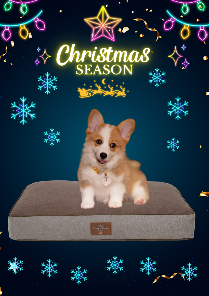 Elegance  Faux Leather Lounger Mattress