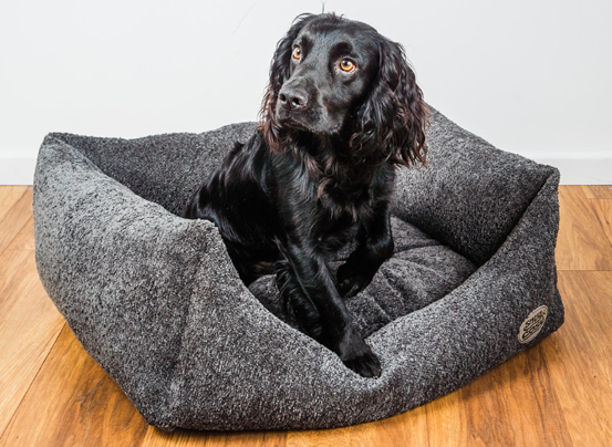 Teddy Boucle Plush Dog Bed