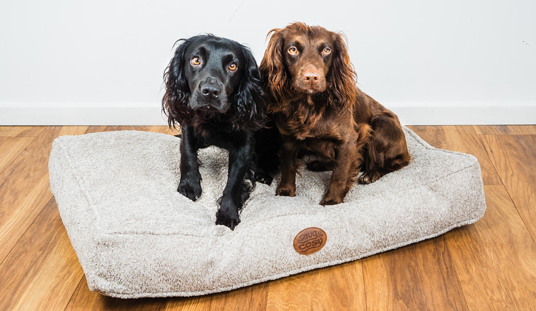 Luxury Dog Lounger Beds Snug Cosy Pets Snug and Cosy Pets