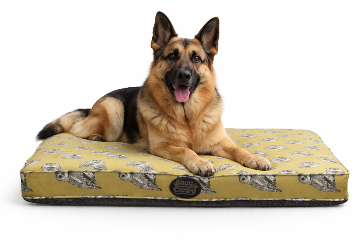 Memory Foam Dog  Pet Lounger - Owl Print 120cm x 70cm