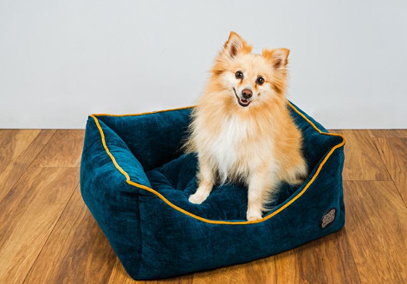 Chelsea Reversible Rectangle Dog Bed
