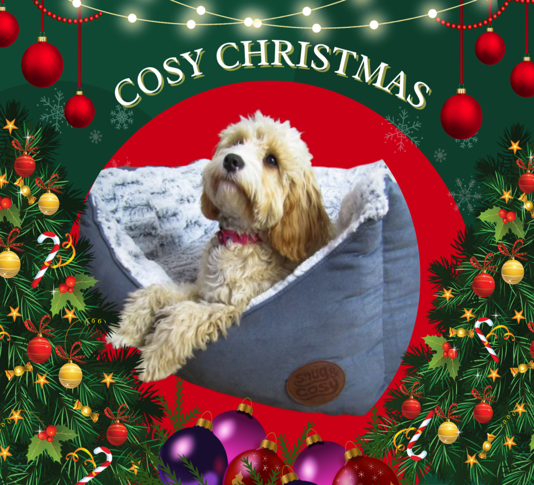 Novara Dog Puppy Pet Bed Sofa Bedding Faux Fur