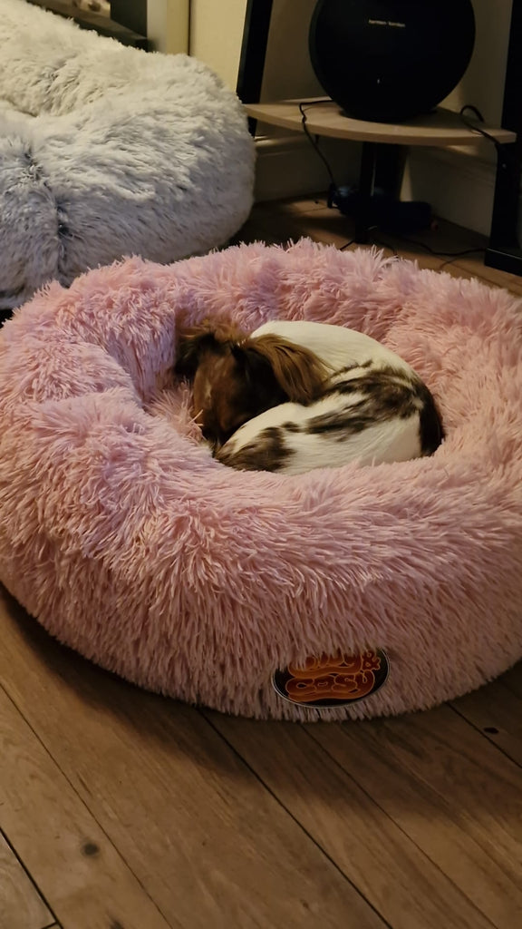 Anti Anxiety Donut Bed