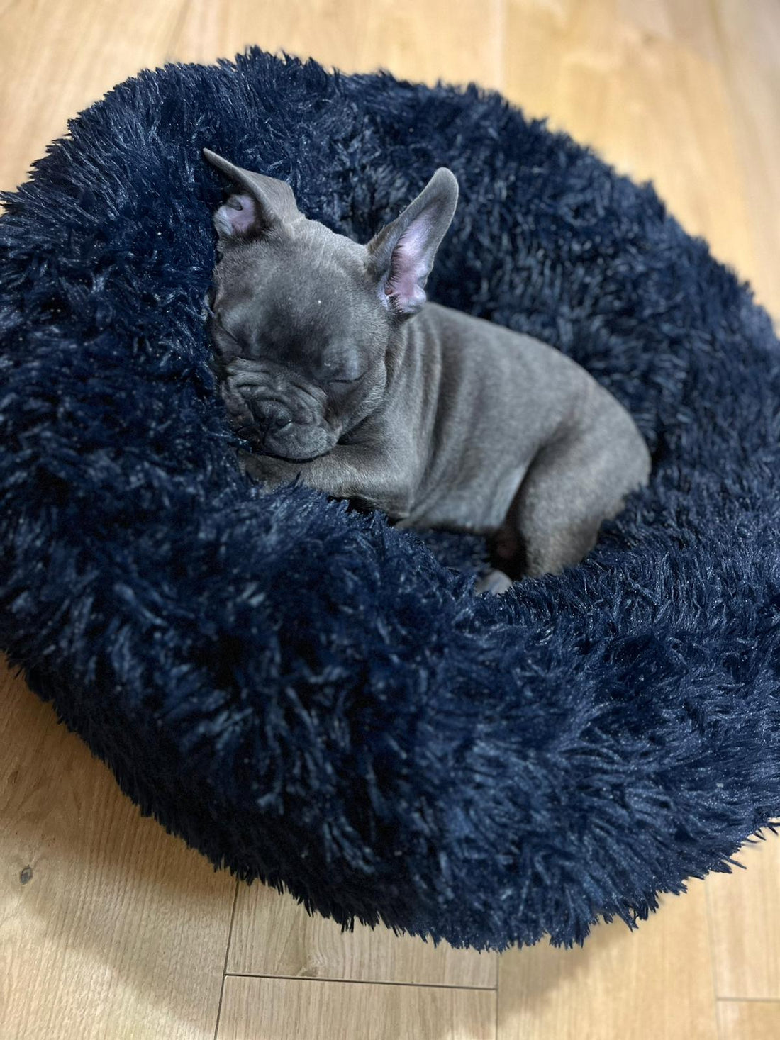 Anti Anxiety Donut Pet Bed