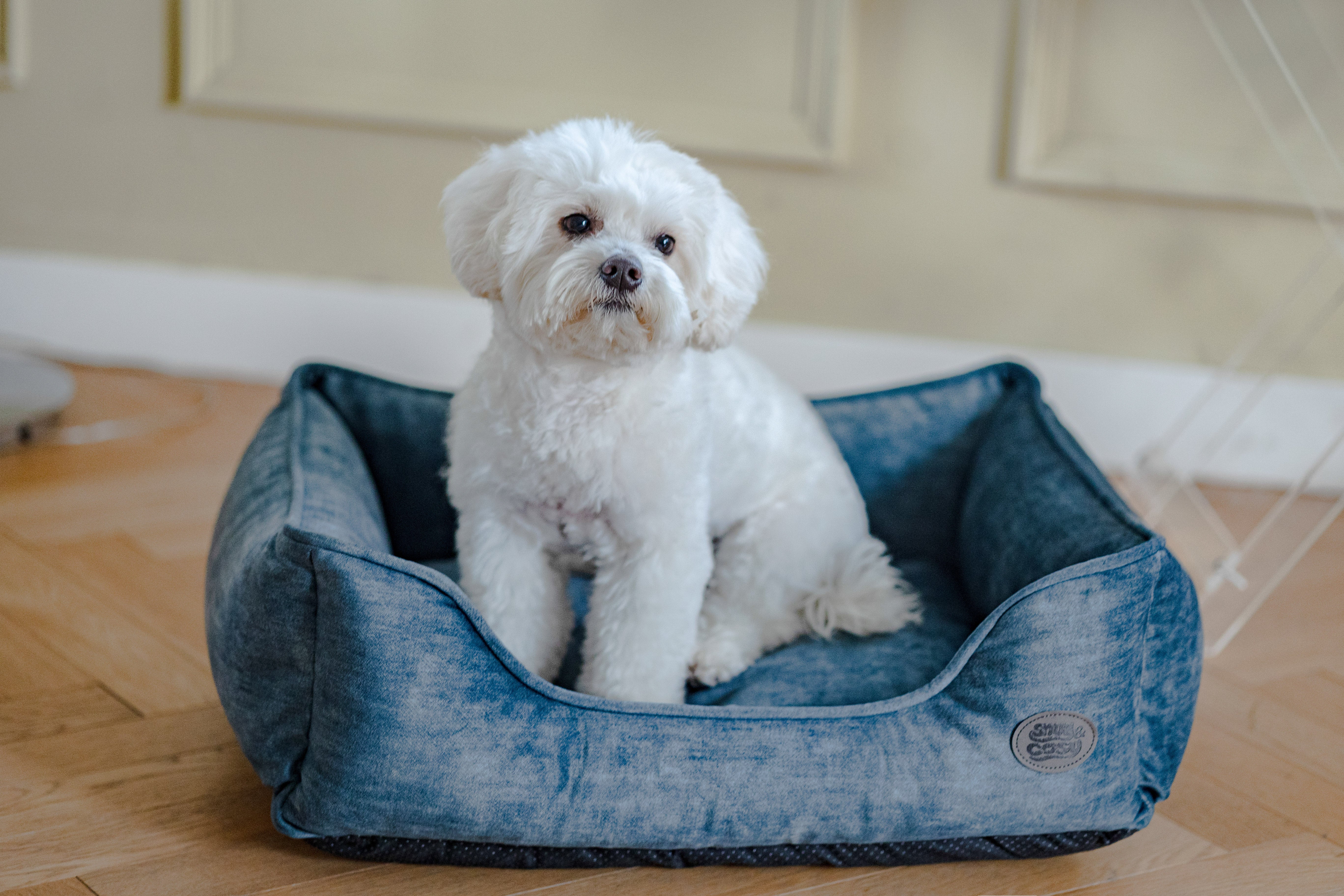 Eco Rectangle Dog Bed