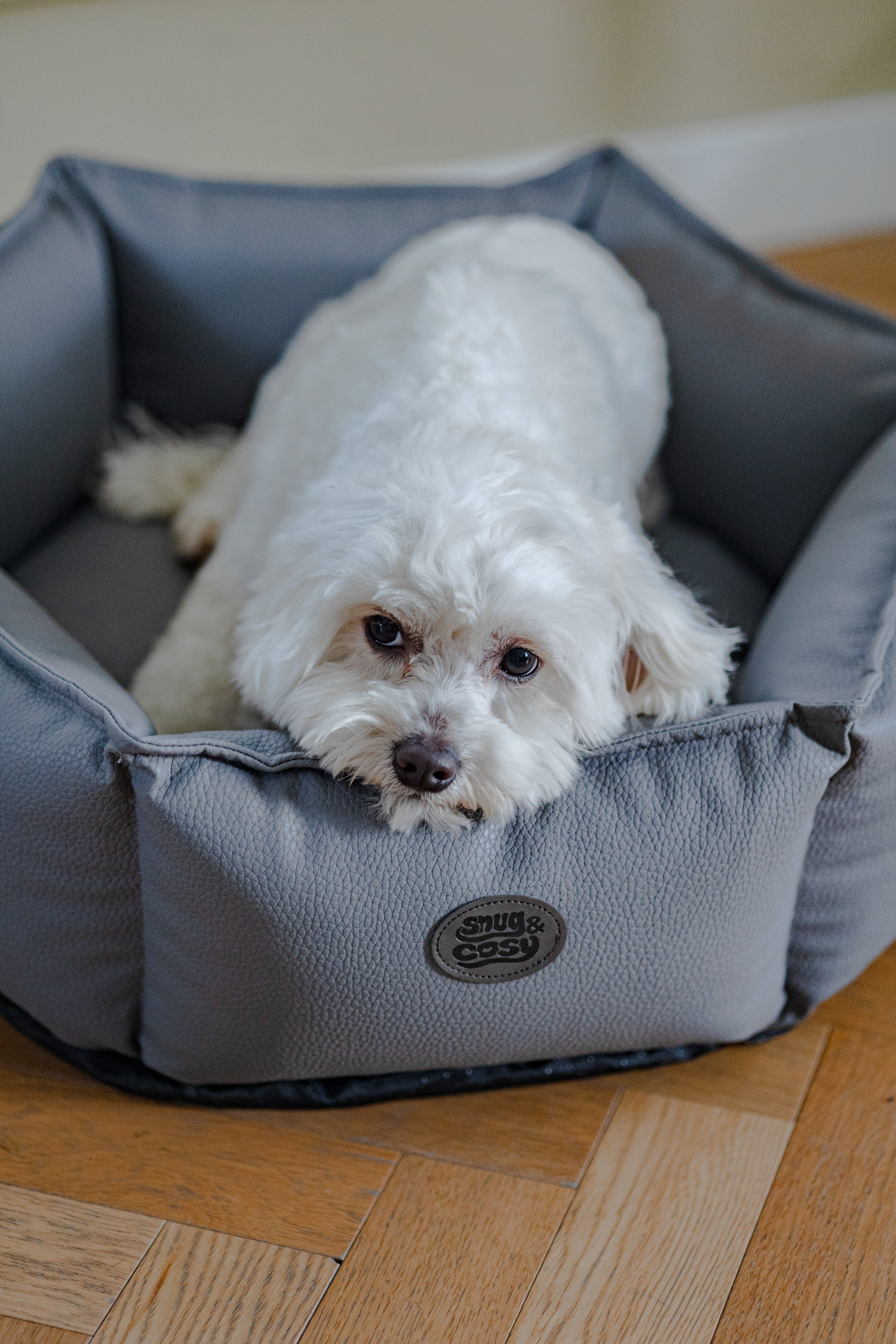 Monza Hexagon Dog Bed