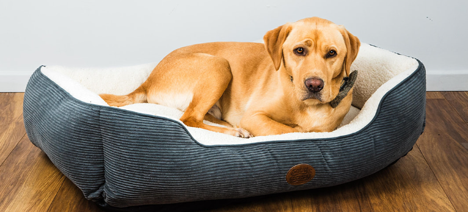 Malvern Charcoal Reversible Dog Rectangle Bed