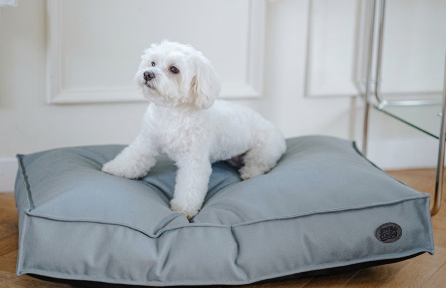 Monza Faux Leather Dog Lounger – Blue & Grey | Snug and Cosy Pets - Dog Beds & Loungers for dogs Snug and Cosy Pets