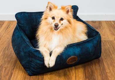 Windsor Square Dog Bed