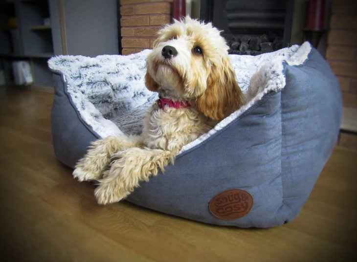 Novara Faux Suede Brown Dog Bed with High Sides and Reversible Cushion - Dog Bed for dogs Snug and Cosy Pets