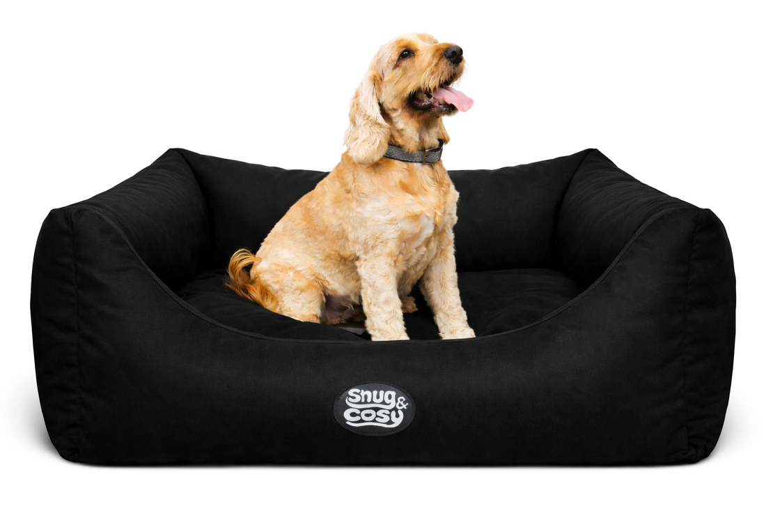 Pescara Waterproof Dog Pet Bed Gnaw-Resistant for Chewers - Dog Bed for dogs Snug and Cosy Pets