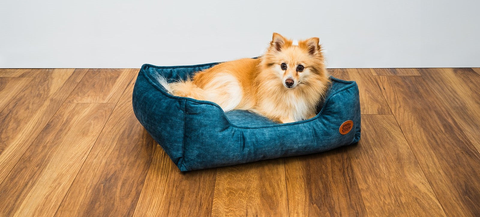 Snug and cozy dog beds sale