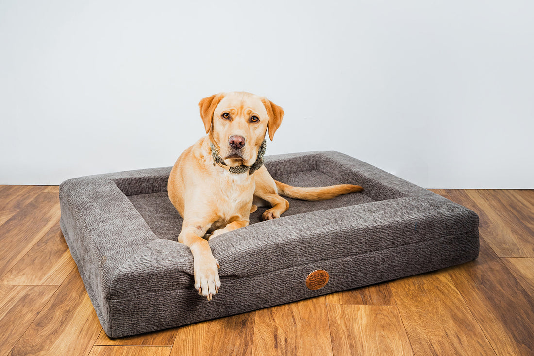 Orthopaedic Dog Lounger Beds