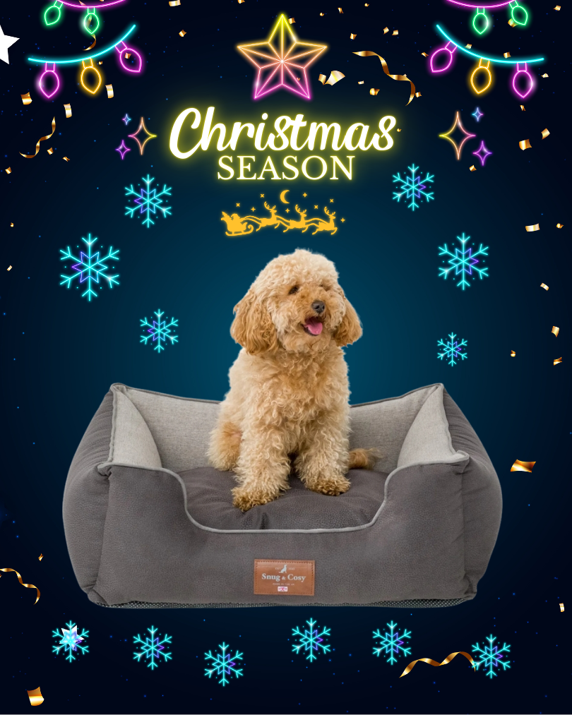 ELEGANCE Faux Leather High Sided Dog bed