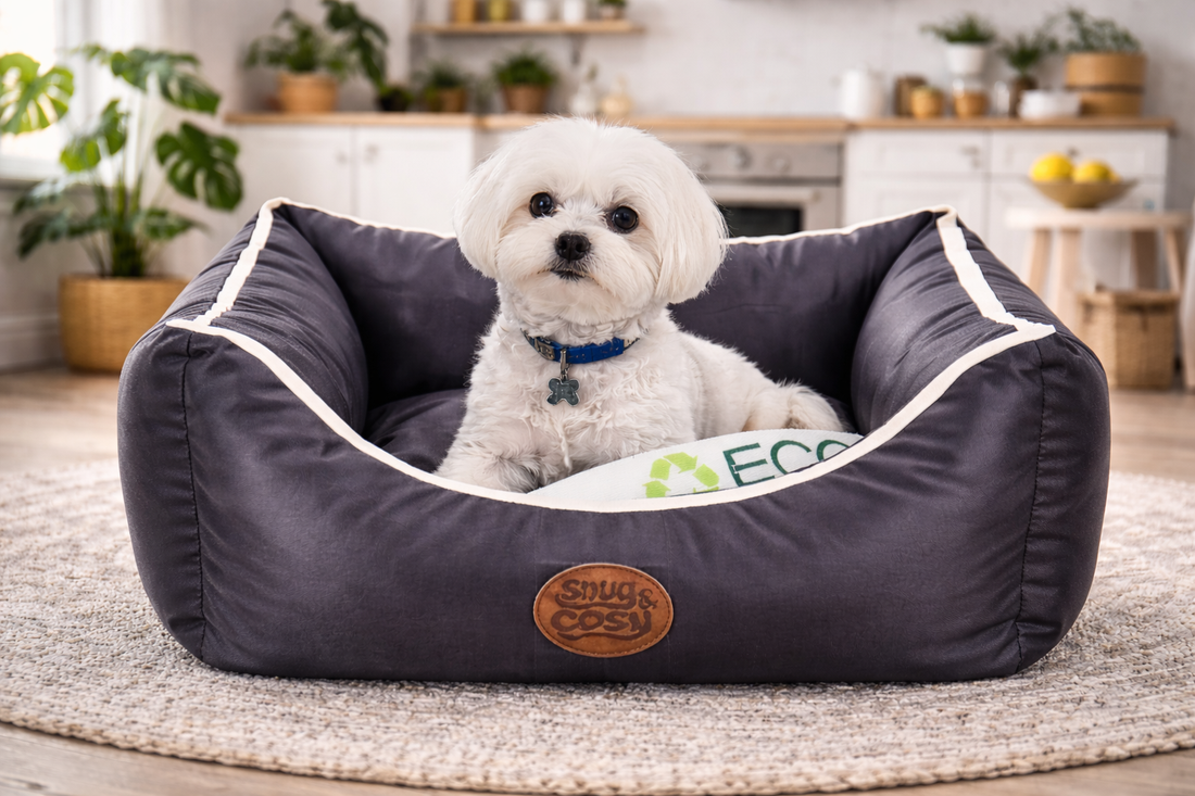 Eco Dog Pet Bed Grey - Recycled Plastic Bottle Yarn Wipe-Clean 5 Sizes - Pet Beds for dogs Snug and Cosy Pets