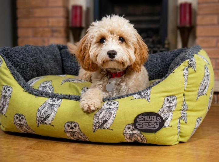 Owl Print Dog Pet Bed
