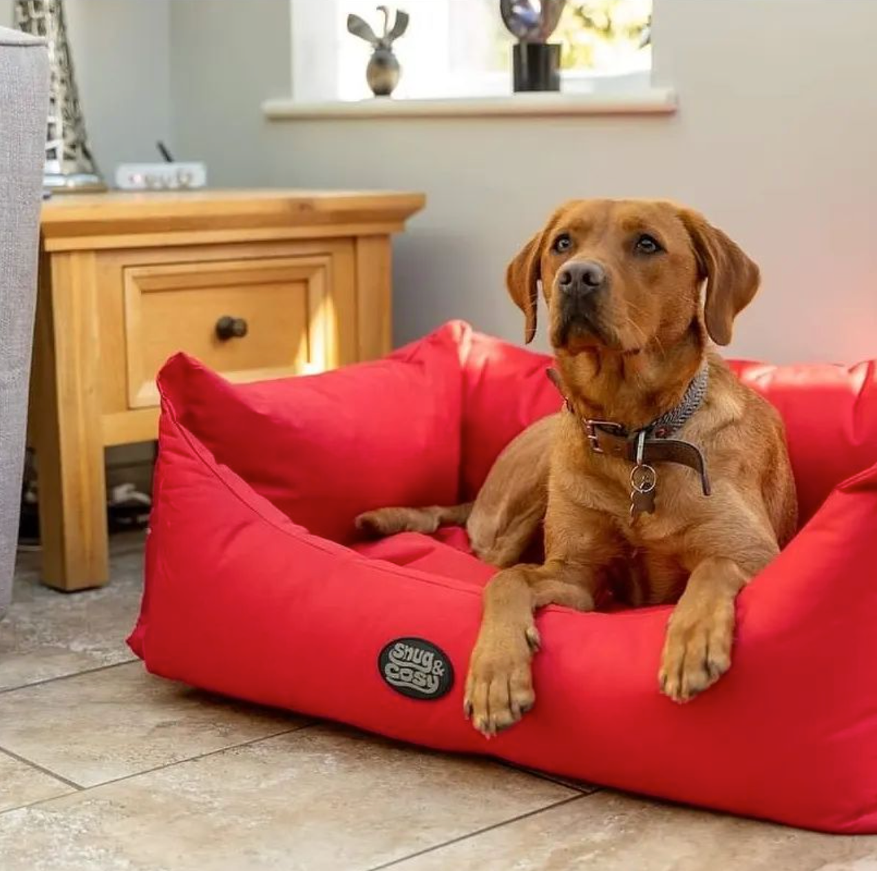 Chewy dog cot clearance