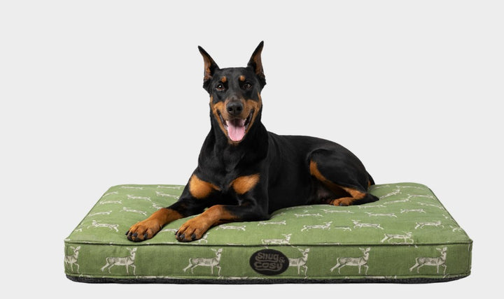 Memory Foam Dog Pet Lounger - Sage Deer 120cm x 70cm&nbsp;