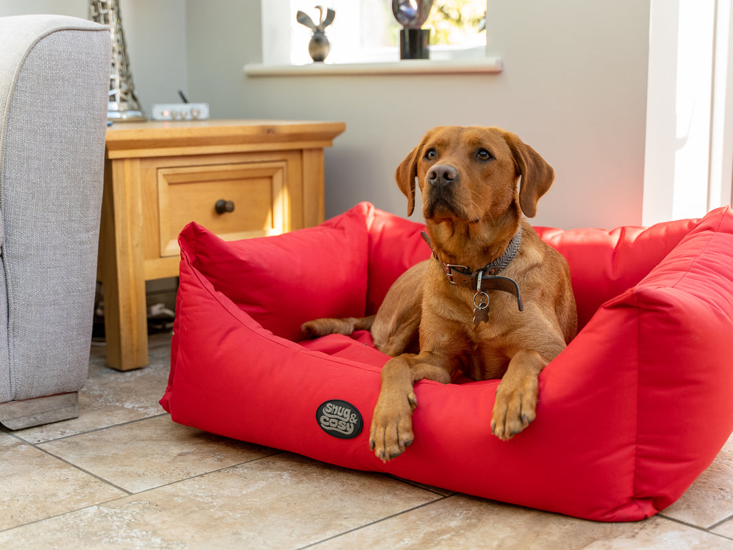 Pescara Waterproof Dog Bed - Gnaw-Resistant Pet Bed for Chewers - Dog Bed for dogs Snug and Cosy Pets