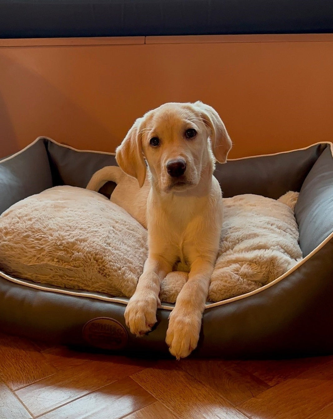 Tuscany (Cover Only)