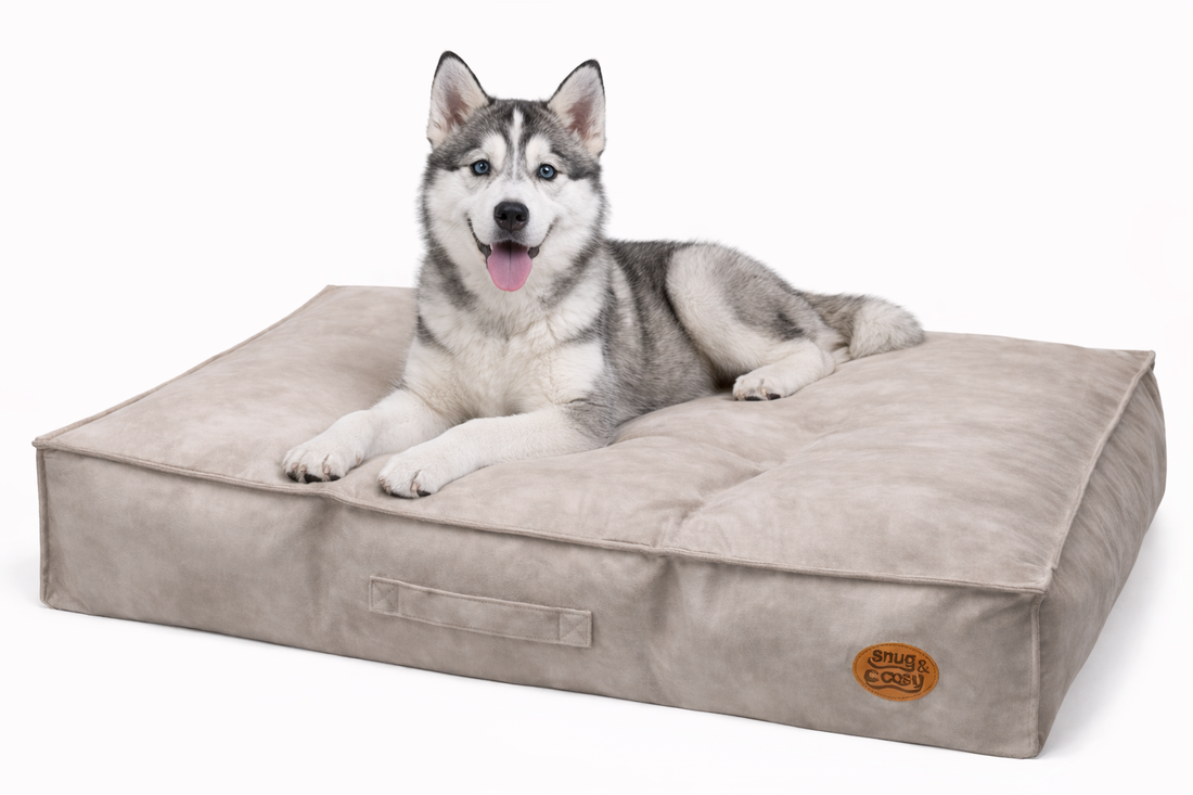 Windsor Dog Pet Lounger - Royal Comfort with 100% Virgin Hollowfibre Filling - Pet Beds for dogs Snug and Cosy Pets