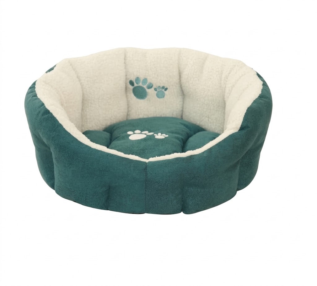 TEAL PISA OVAL