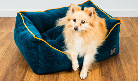 Chelsea Reversible Rectangle Dog Bed
