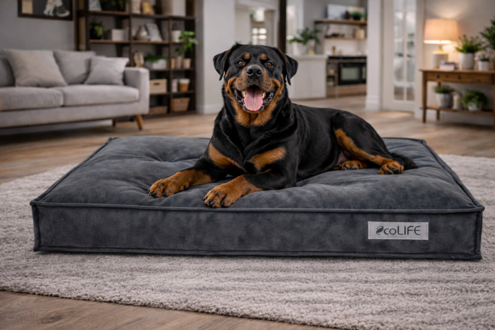 Ecolife Eco Pet Dog Lounger Cushion Bed - Dog Beds & Loungers for dogs Snug and Cosy Pets