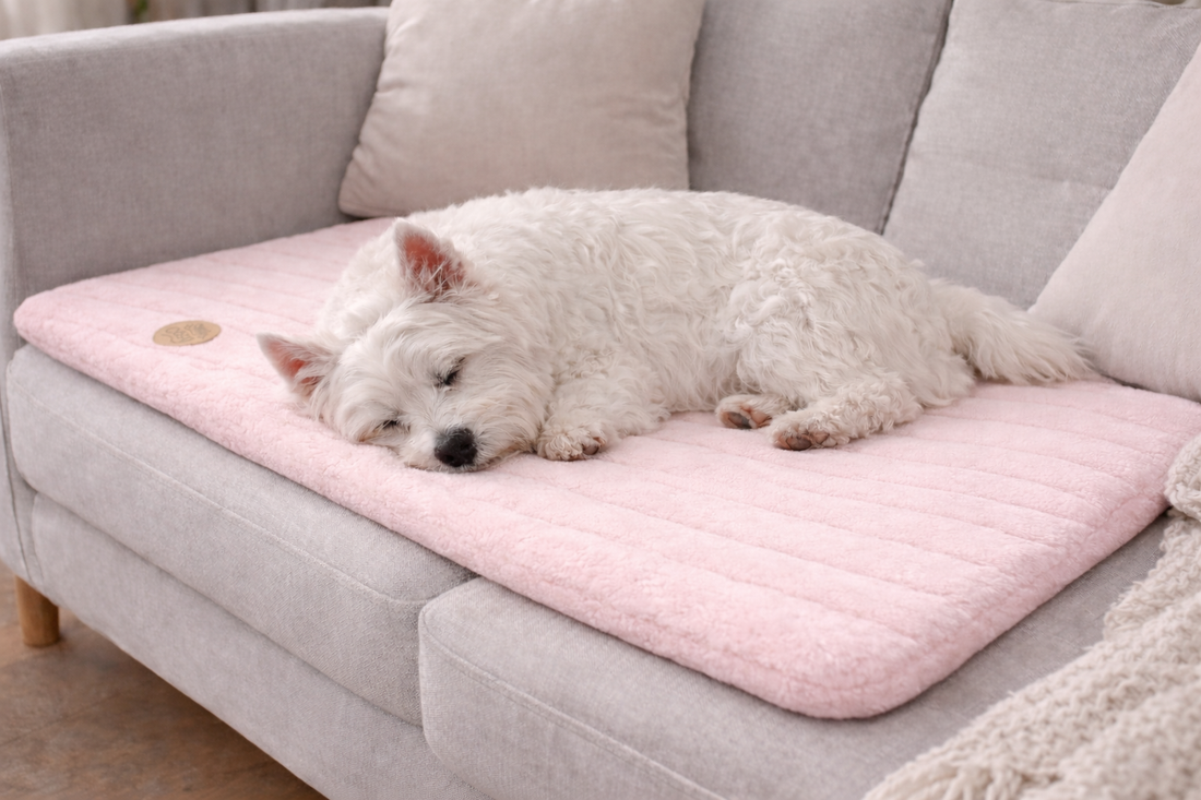 Alaska Memory Foam Faux Fur Dog Pet Mat - Orthopaedic Support & British Design - Dog Mat for dogs Snug and Cosy Pets