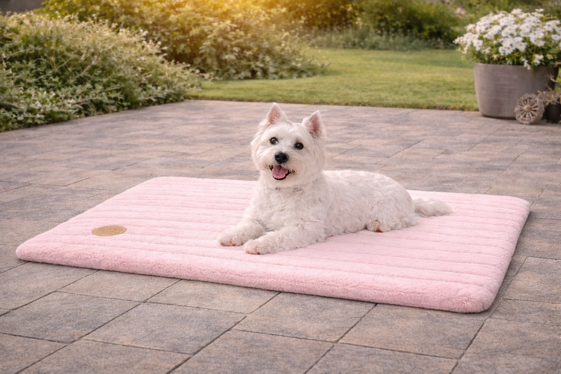 Alaska Memory Foam Faux Fur Dog Pet Mat - Orthopaedic Support & British Design - Dog Mat for dogs Snug and Cosy Pets