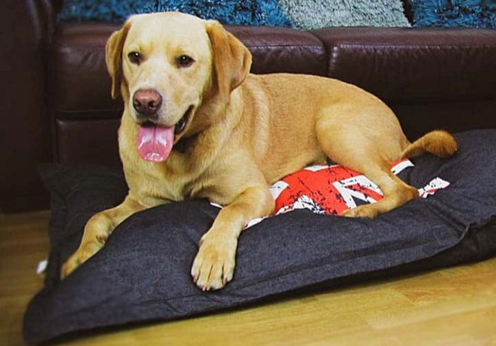 Union Jack Dog Bed Lounger Cushion  Denim Navy Blue