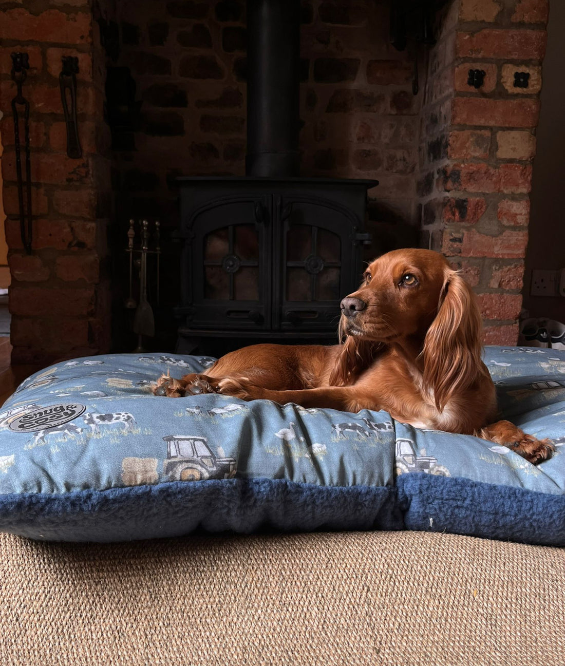 Farmyard Blue Lounger