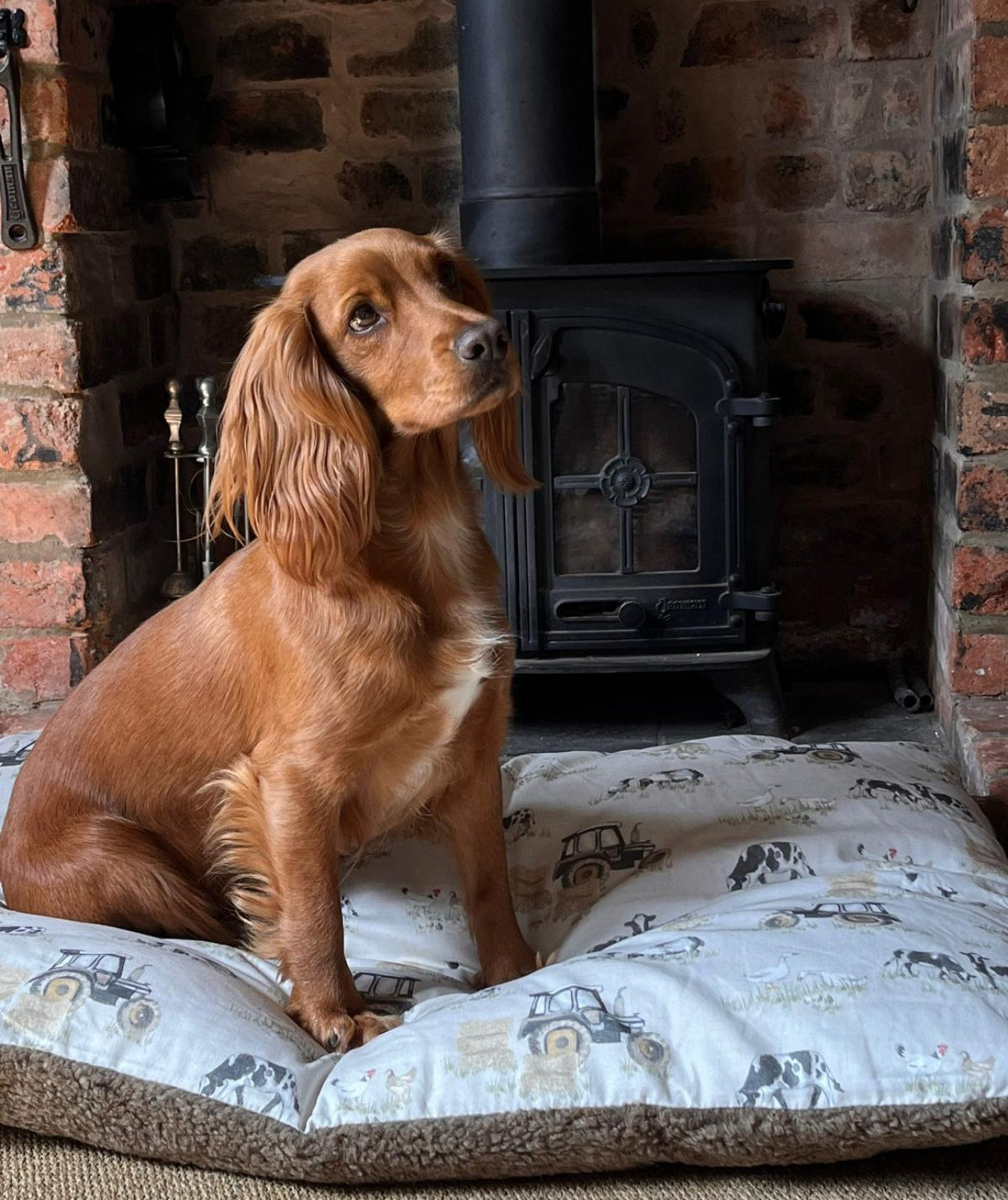Farmyard Cream Lounger Cushion
