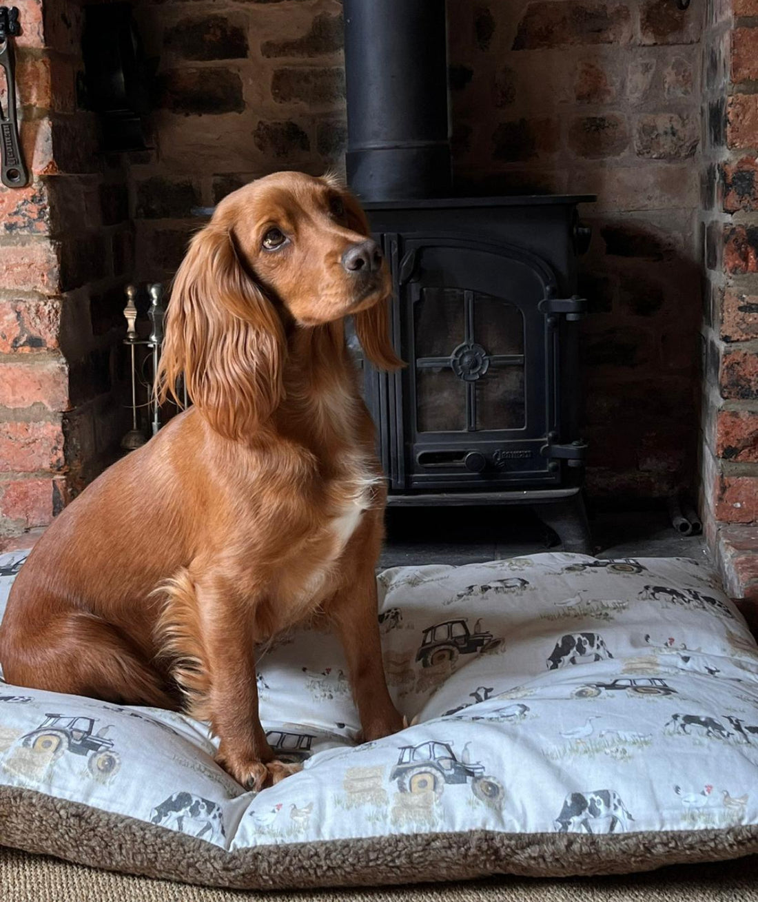 Farmyard Cream Lounger