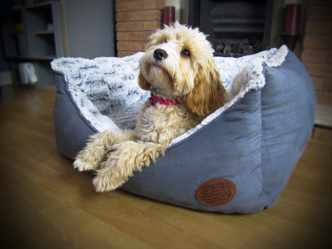 grey cosy dog bed