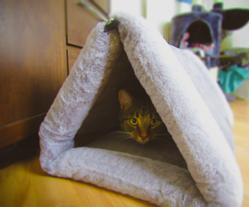 Luxury Grey Cat Igloo Bed / Mat