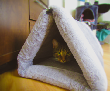 Luxury Grey Cat Igloo Bed Mat UK Snug Cosy Snug and Cosy Pets